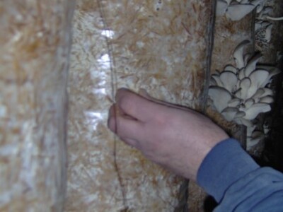 Proces treba stalno nadzirati Proces treba stalno nadzirati