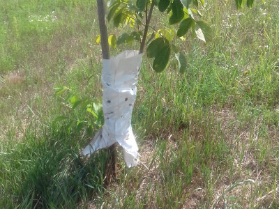 Pomažu, no ne u potpunosti