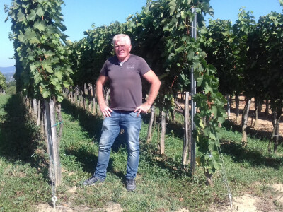 Dragutin u svom vinogradu