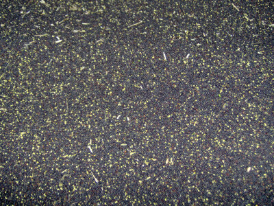 Urod je odličan i prodan tvrtki Agronom