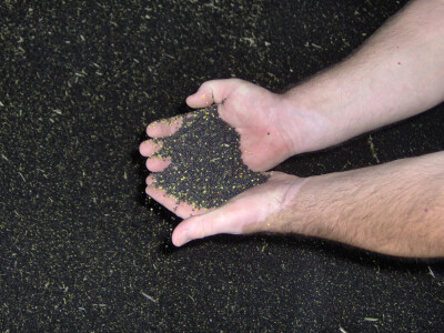 Po hektaru je dobiveno 4600 kg