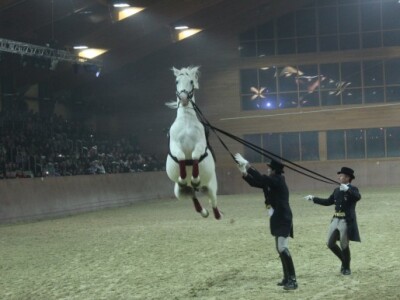 Trikovi koje su dugo uvježbavali