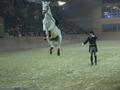 Tko će više skočiti?