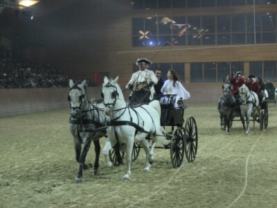 Kočija s lipicancima