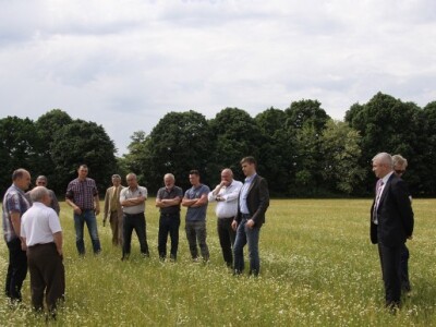 Spider Grupa d.o.o. prerađuje 800 ha kamilice, a osim na području Virovitičko-podravske županije, kooperante ima u Osječko-baranjskoj, Požeško-slavonskoj te Zagrebačkoj županiji