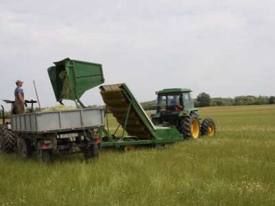 Proizvodnja ljekovitog bilja