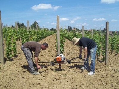 Pokušalište u Mandićevcu