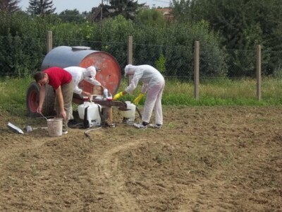 Studenti rade u vinogradu