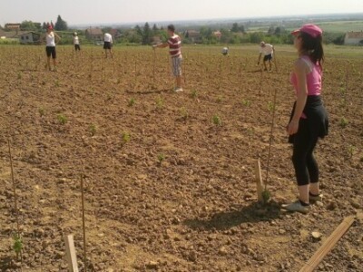 Pokušalište u Mandićevcu