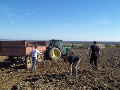 Pokušalište u Mandićevcu