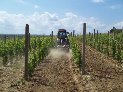 Pokušalište u Mandićevcu