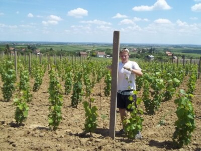 Pokušalište u Mandićevcu