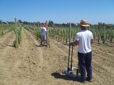 Pokušalište u Mandićevcu