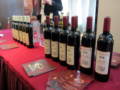 Expo Rusija Srbija 2017.