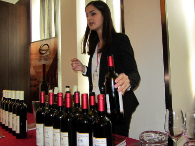 Expo Rusija Srbija 2017.