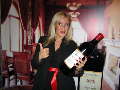 Expo Rusija Srbija 2017.