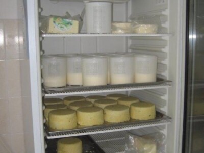 Kvalitetni sirevi od kvalitetnog mlijeka