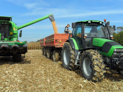 Pioneer sorte kukuruza Pioneer sorte kukuruza