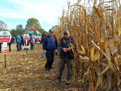 Pioneer sorte kukuruza Pioneer sorte kukuruza