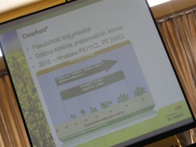 Pioneer Clearfield Pioneer Clearfield