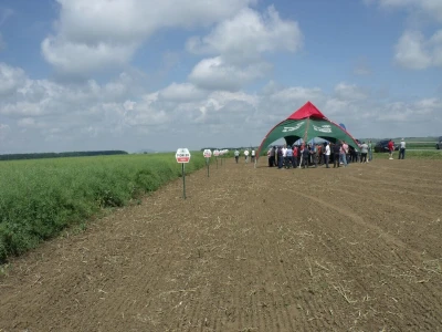 Pioneer Corteva