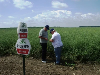 Pioneer Corteva