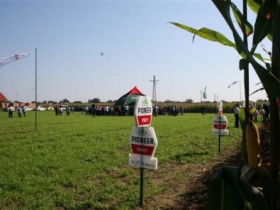Centralni Pioneer dan polja kukuruza