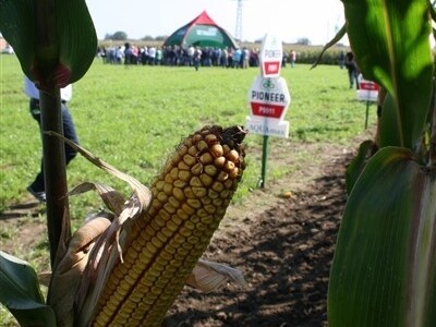 Pioneer Centralni dan polja kukuruza 2014.!