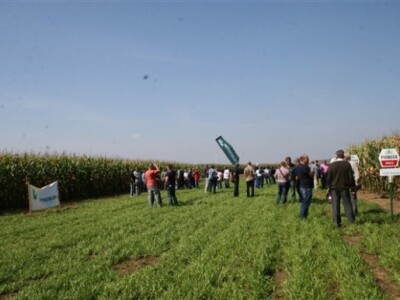 Pioneer Centralni dan polja kukuruza 2014.!