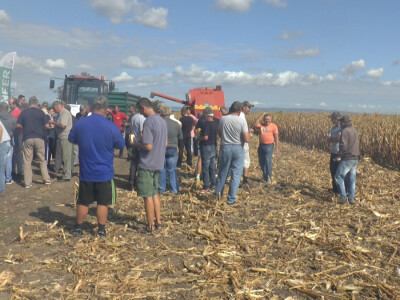 Sremci na Pioneer Danu polja