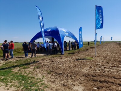 Pioneer dan polja uljane repice