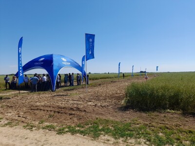 Pioneer dan polja uljane repice