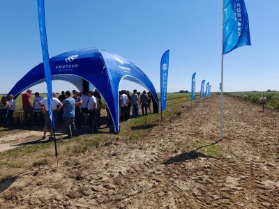 Pioneer dan polja uljane repice