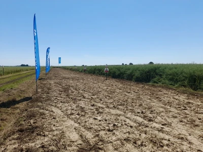 Pioneer dan polja uljane repice