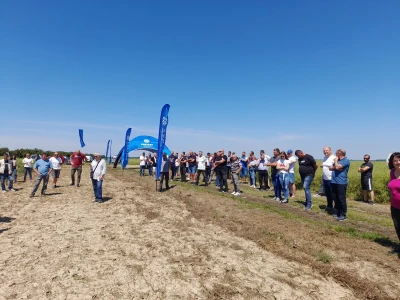 Pioneer dan polja uljane repice