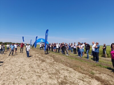 Pioneer dan polja uljane repice