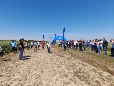 Pioneer dan polja uljane repice