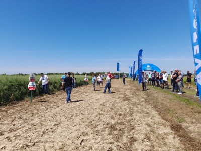 Pioneer dan polja uljane repice