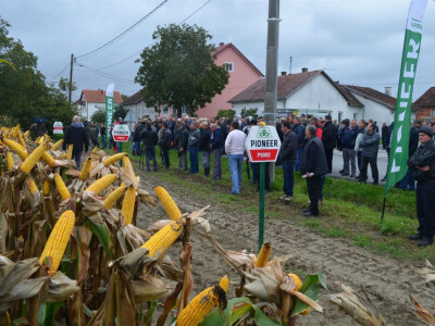 Pioneer Dan polja u Gudovcu