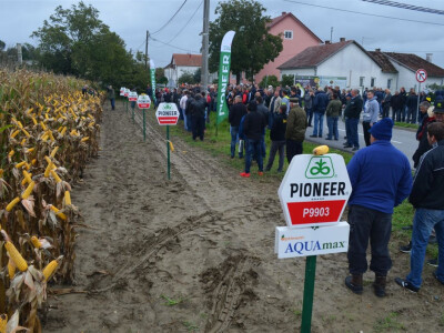 Pioneer Dan polja u Gudovcu