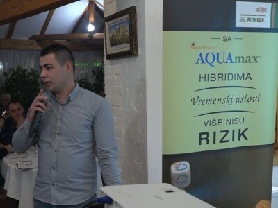 PIONEER HIBRIDI BROJ 1 U PODRINJU