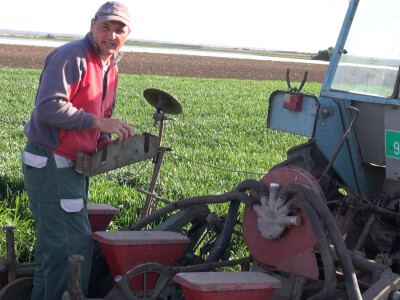 Pioneer hibridi kukuruza najzastupljeniji u Sremu Pioneer hibridi kukuruza najzastupljeniji u Sremu