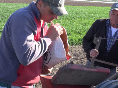 Pioneer hibridi kukuruza najzastupljeniji u Sremu Pioneer hibridi kukuruza najzastupljeniji u Sremu