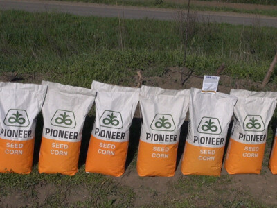 Pioneer hibridi kukuruza najzastupljeniji u Sremu Pioneer hibridi kukuruza najzastupljeniji u Sremu