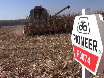 Pioneer hibridi ponovo rekordni