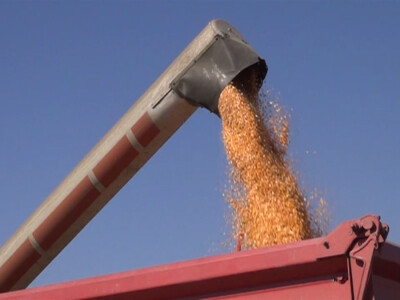 Pioneer hibridi ponovo rekordni