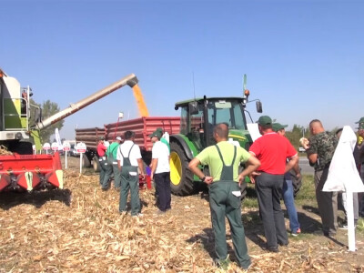 Pioneer hibridi ponovo rekordni