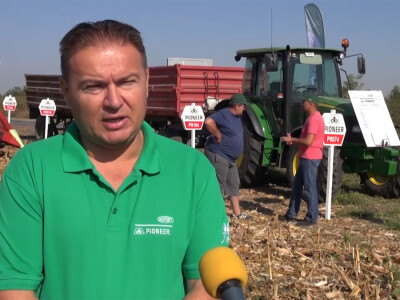 Pioneer hibridi ponovo rekordni