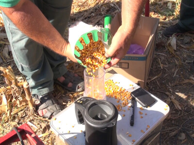 Pioneer hibridi ponovo rekordni