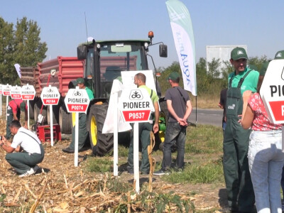 Pioneer hibridi ponovo rekordni